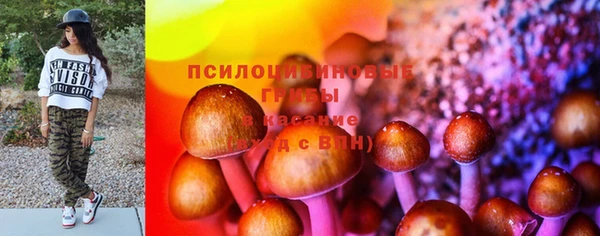 PSILOCYBIN Белоозёрский